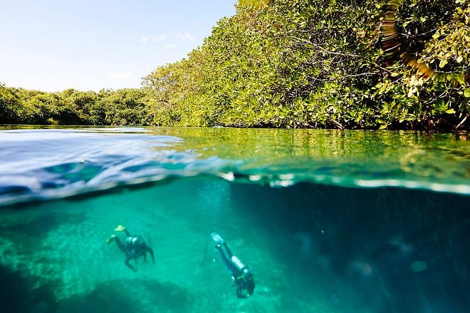 Amazing beginner dive in Tulum cenote (or refresher dive) - Getting to Casa Cenote: short transfer, big scenery