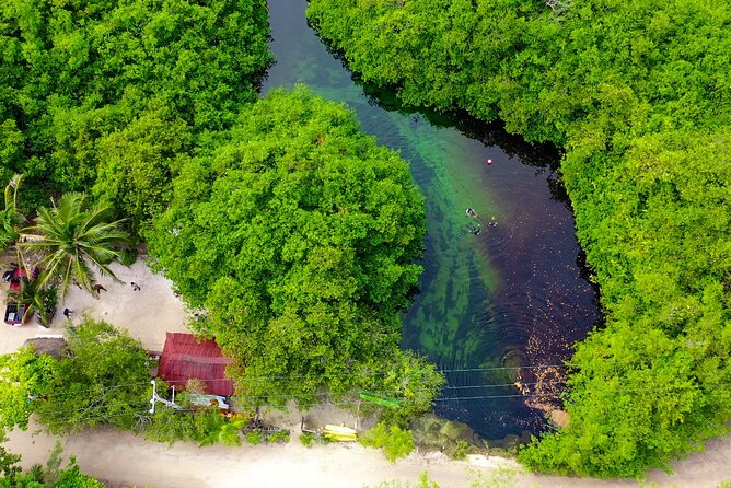 Amazing beginner dive in Tulum cenote (or refresher dive) - What’s included in the $140 price, and why it’s fair