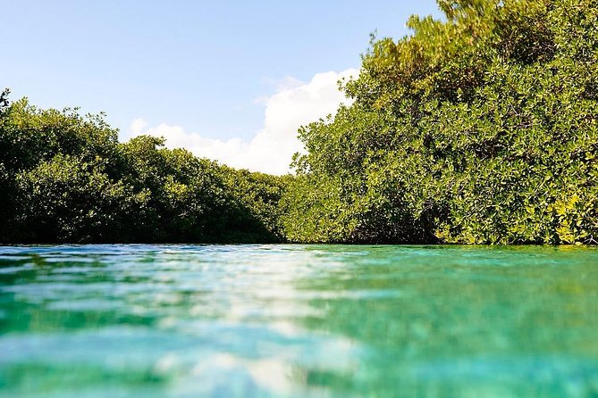 Amazing beginner dive in Tulum cenote (or refresher dive) - Who this experience fits best