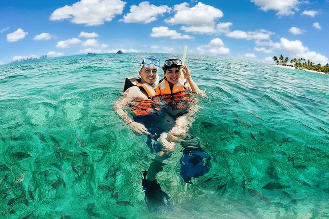 Amazing Snorkeling Experience + Real Mexican Tacos - Puerto Morelos reef wall snorkeling, without the hassle