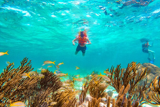 Amazing Snorkeling Experience + Real Mexican Tacos - Stop 2 in Puerto Morelos: tacos, tequila, and that real-town reset