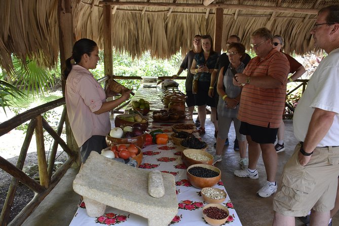 Ancient Chacchoben Mayan Ruins & Mayan Experience from Costa Maya - Comfort and group size, what you can realistically hope for