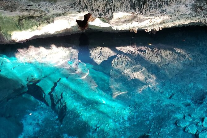 Archaeological Tour in Tulum and Coba with Kuxtal Cenote - Coba ruins: emblematic buildings with a second guide-led stop