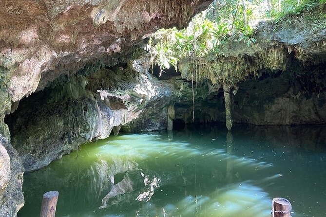 Atv and Cenote All Terrain - Jade Cavern cenote: jumps, bats, and how to make it comfortable