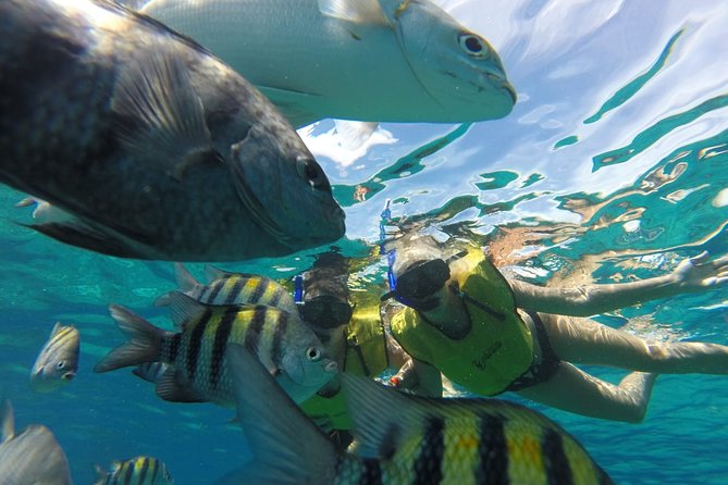 ATV Mud Kicking and Snorkeling by Boat in Cozumel - Lunch and open bar: what is included, and what to watch for