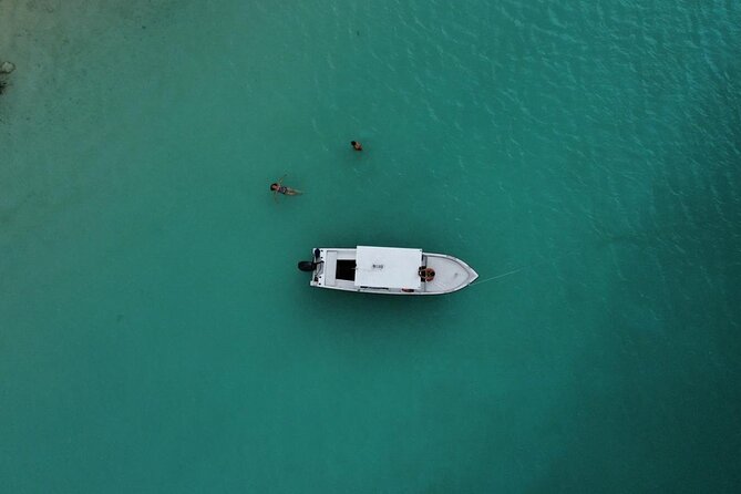 Bacalar Boat Tour and Visit to Cenotes - What the boat ride is like on ecological engines