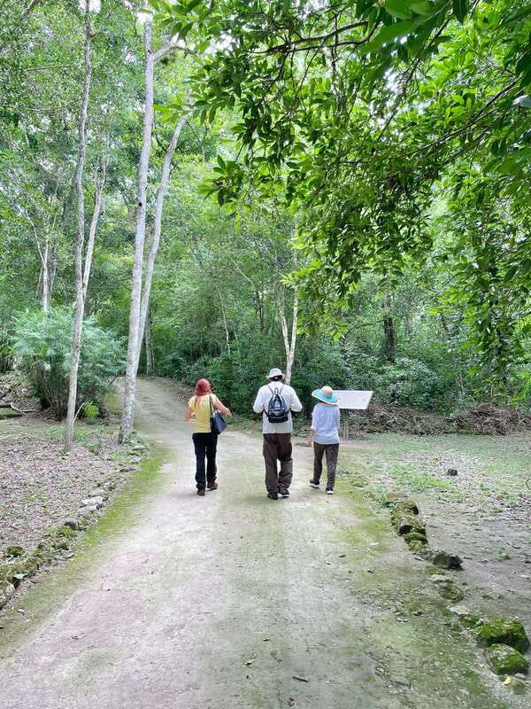 Bacalar: Calakmul daytour ruins and walk in the jungle.. - Key things that make this experience click