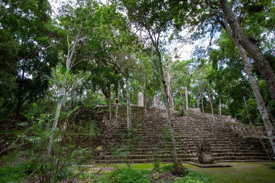 Bacalar: Calakmul daytour ruins and walk in the jungle.. - Temple climb time: views, altitude of effort, and safety basics
