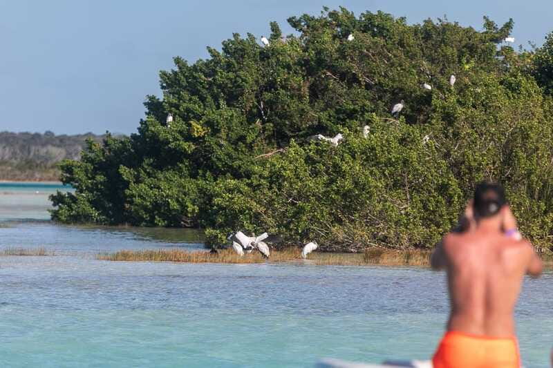 Bacalar: Full Day Kayak Rental in the Lagoon of Seven Colors - Dock Entry, Paddling Effort, and How to Avoid a Tough Start