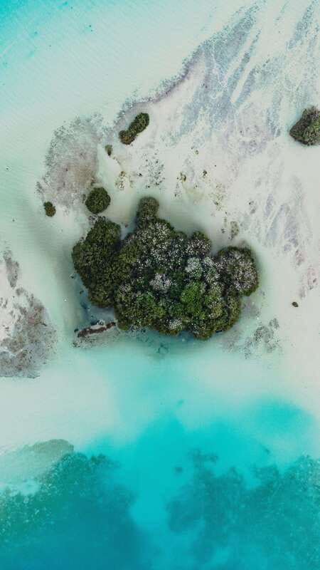 Bacalar Lagoon Full-Day Kayak & Snorkel Rental - Pirate’s Channel: the famous route, paced by you