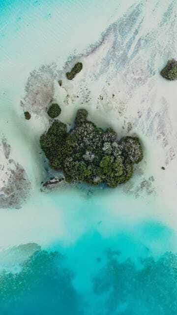 Bacalar Lagoon Full-Day Kayak & Snorkel Rental - Safety, rules, and the wind factor on Bacalar Lagoon