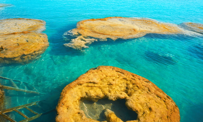 Bacalar: Lagoon, Pirate Canal, Stromatolite Day Trip w/Lunch - Bacalar Lagoon Swimming: Shallow Water Meets the 7-Color Show