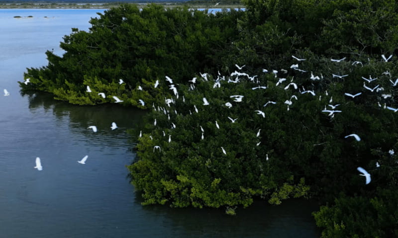 Bacalar: Lagoon, Pirate Canal, Stromatolite Day Trip w/Lunch - Stromatolite Sanctuary: A Nature Stop With Conservation in Mind