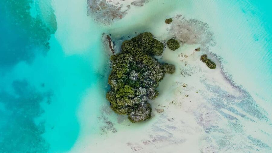 Bacalar Lagoon Sailing Tour with Open Bar and Mexican Lunch - Swimming Breaks in Clear Turquoise Water: The Best Part of the Day