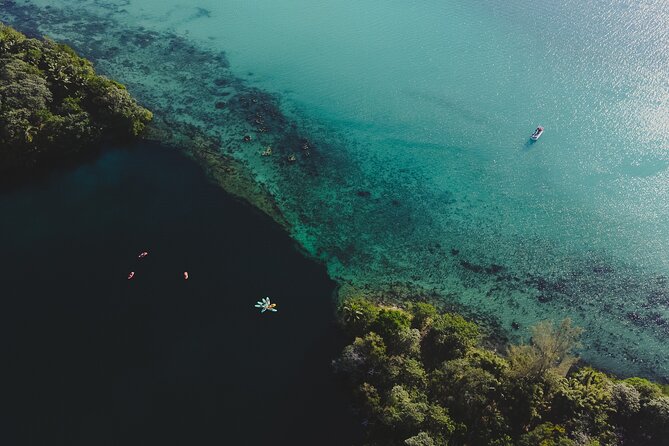 Bacalar Lagoon Sightseeing Boat Tour with Open Bar and Snacks - Price and value: why $56.58 can work out well in Bacalar