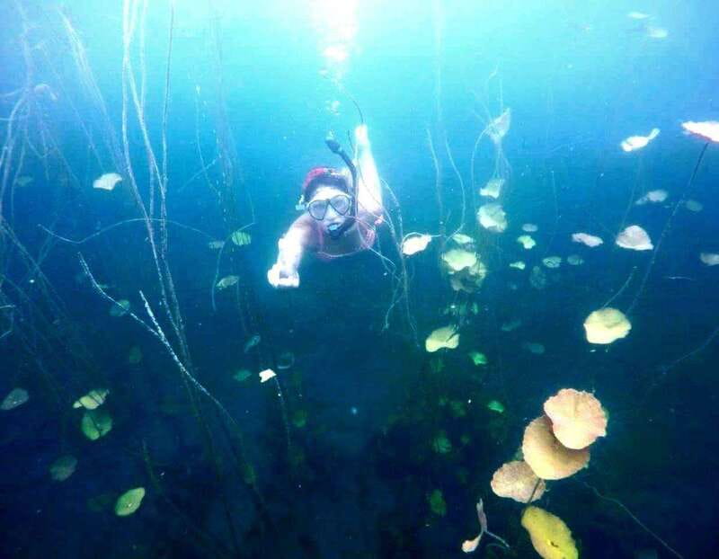 Bacalar: Magnificent Bacalar Lagoon Exclusive Boat Tour - Why Bacalar’s lagoon colors look different when you’re moving