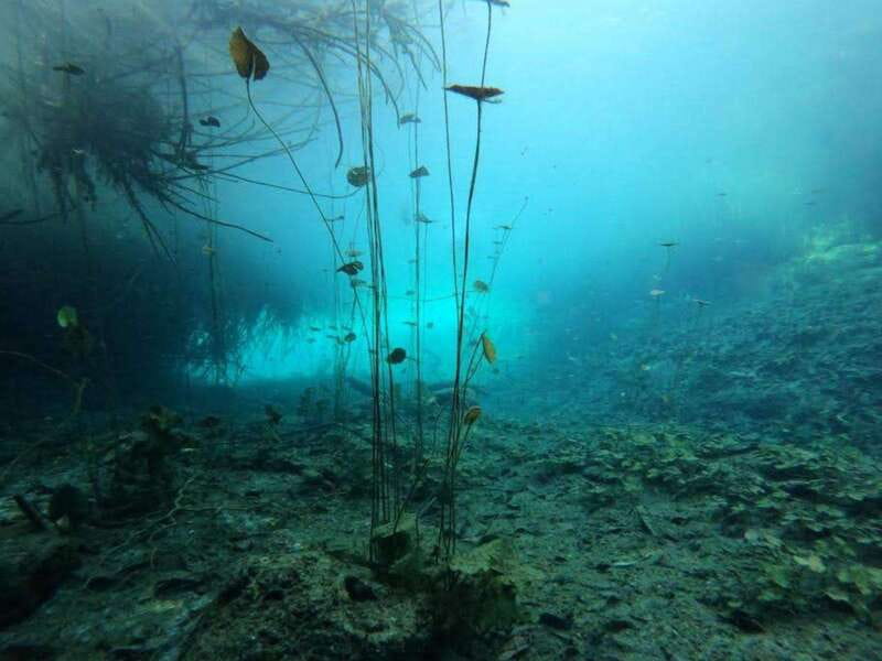 Bacalar: Magnificent Bacalar Lagoon Exclusive Boat Tour - Meeting point and first steps without stress