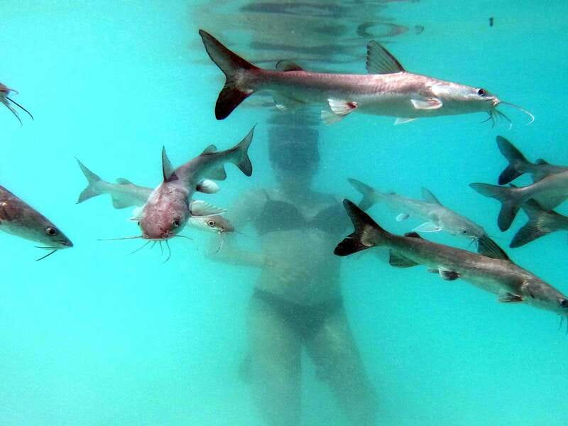 Bacalar: Magnificent Bacalar Lagoon Exclusive Boat Tour - Who this Bacalar lagoon tour is best for