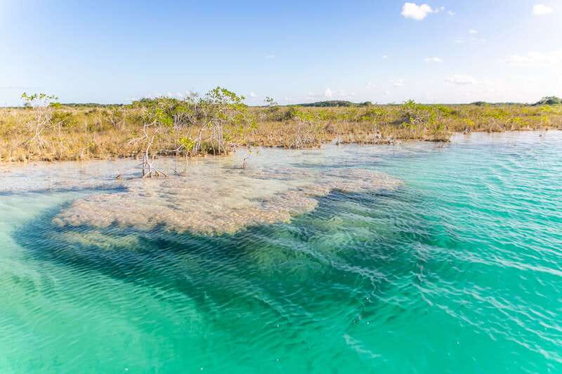Bacalar: Private Boat Tour - Pirate Canal, Cenotes & Islands - Isla de los Pájaros: Wildlife Viewing and Another Swimming Chunk