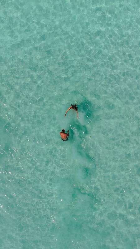 Bacalar Sunrise Stand Up Paddleboard Tour with Breakfast - Two Lagoon Sanctuaries at Dawn, Plus the Birds