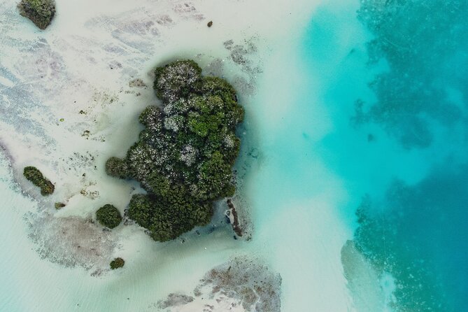 Bacalar Sunrise Stand Up Paddleboard Tour with Breakfast & Photos - The paddle itself: easy pace, sunrise colors, and real lagoon time