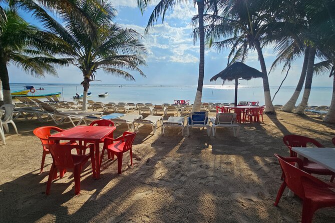 Beach club restaurant kraken - Key points to know before your Kraken beach day