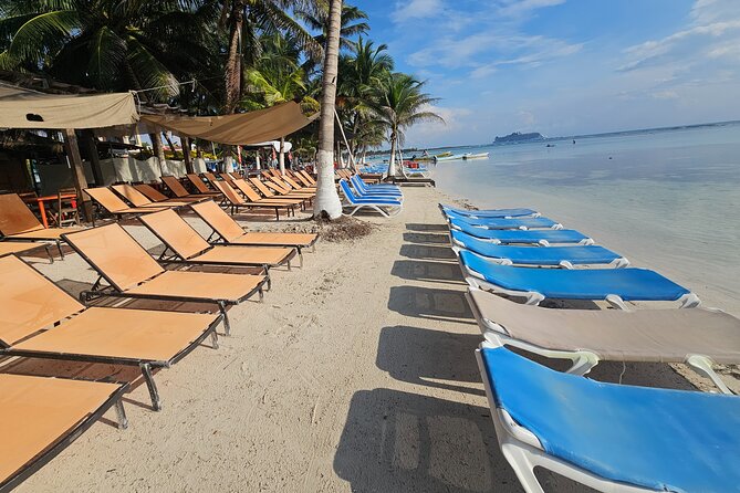 Beach club restaurant kraken - Snorkeling equipment included: how to make it worth your while
