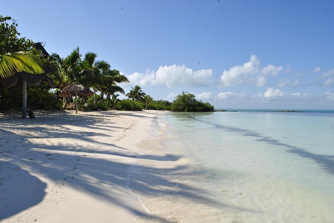 Beach Escape: Isla Contoy and Isla Mujeres with Snorkeling. - Early Morning Pickup, Then You’re Off to Two Different Worlds