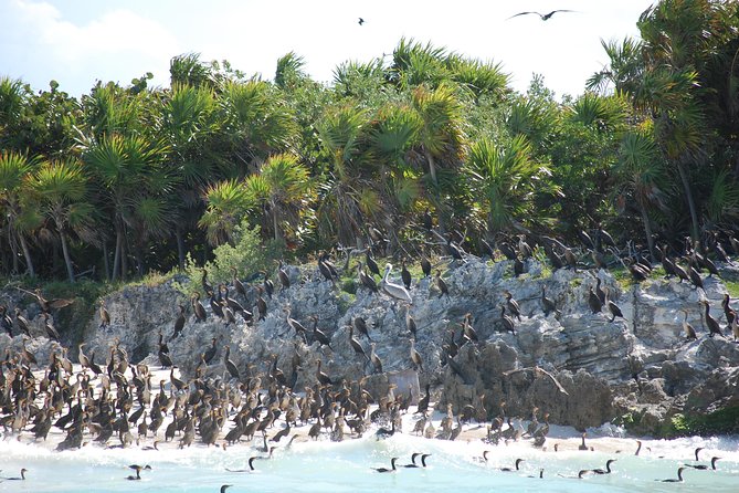 Beach Escape: Isla Contoy and Isla Mujeres with Snorkeling. - Three Hours in Isla Contoy National Park: Birds, Walks, and Island Calm