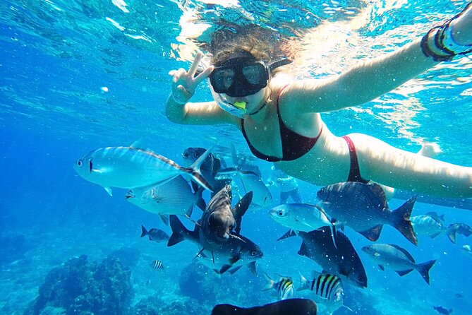 Best Cozumel Day Pass San Francisco Beach Club - Weather in Cozumel: the one factor you cannot control