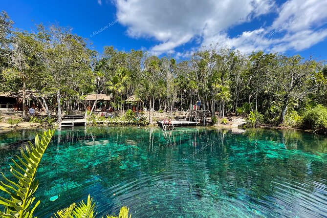Bestseller! Tulum Private Tour with Turtles and Cenote Snorkeling - Lunch near the cenote: a la carte, so it feels less rushed