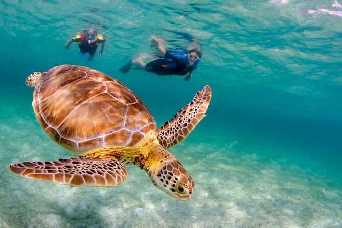Bestseller! Tulum Private Tour with Turtles and Cenote Snorkeling - What you should bring and how to prepare