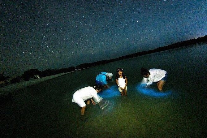 Bioluminescence Tour by Car at Holbox - Key Points That Matter
