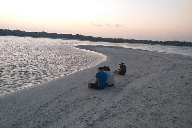 Bioluminescence Tour by Car at Holbox - Mosquitoes, Cloudiness, and Other Real-World Factors