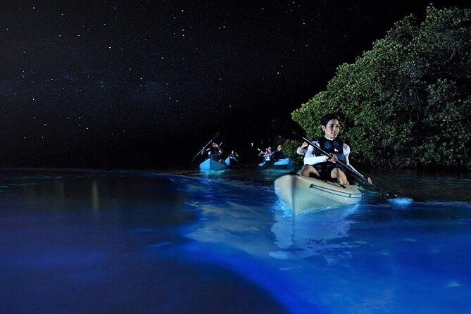 Bioluminescence Tour in Kayak in Holbox Island - Timing and the moon: why your pickup can feel late