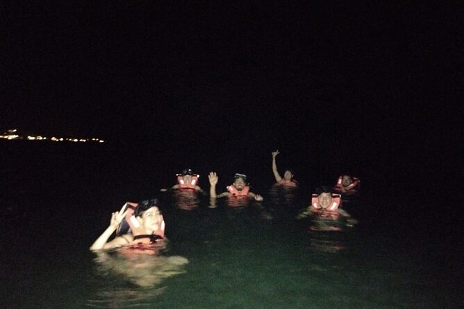 Bioluminescence Tour in Kayak in Holbox Island - The bioluminescence swim: what you should expect to see