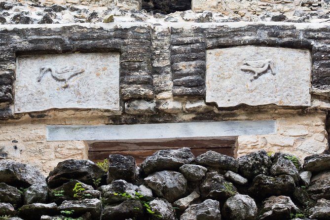 Bird Watching in Sian Ka´an Muyil - Stop 2: Muyil archaeological zone birding, plus the history layer