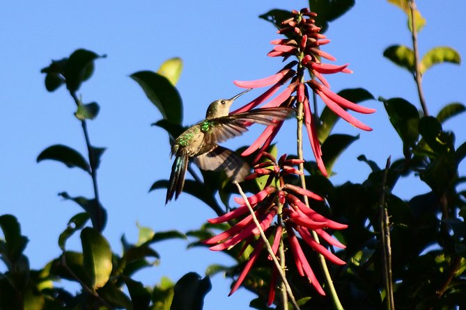 Bird Watching in Sian Ka´an Muyil - Stop 3 option: Sian Kaan lagoon boat ride and lazy river float for $75