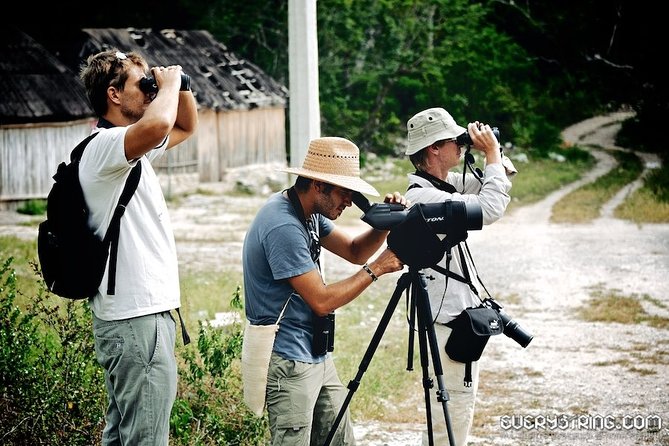 Bird Watching in Sian Ka´an Muyil - Birding with Miguel: what “guided” really means in the field