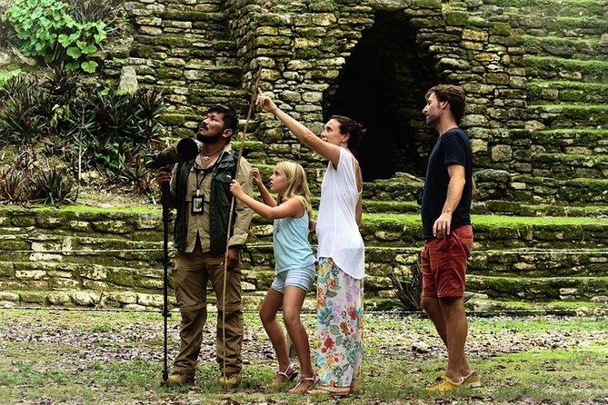 Birdwatching at The Mayan Cities with certified guide - Who should book this Dzibanche birdwatching day