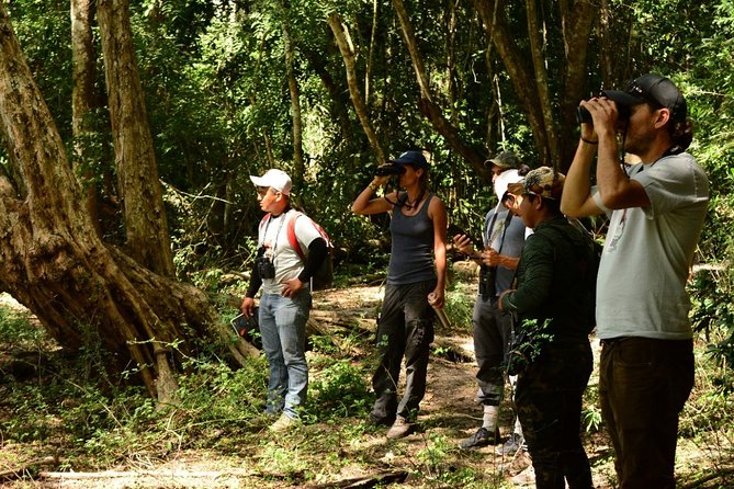 Birdwatching in Coba from Tulum - Shared Group Tour - Stop 4: finish with brunch and the Mayan family lunch
