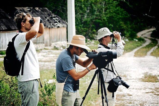 Birdwatching in Sian Ka´an Muyil from Tulum - Shared Group Tour - What You’re Really Paying for at $119