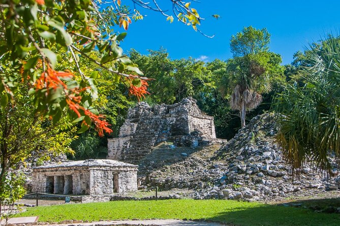Birdwatching in Sian Ka´an Muyil from Tulum - Shared Group Tour - Stop 2: Muyil Ruins, a bird-watching walk through Sian Kaan entrance