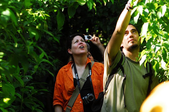 Birdwatching in Sian Ka´an Muyil from Tulum - Shared Group Tour - Stop 3: Lake Chunyaxche add-on boat and lazy river float