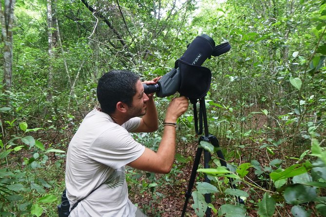 Birdwatching in Sian Ka´an Muyil from Tulum - Shared Group Tour - Who this tour suits best