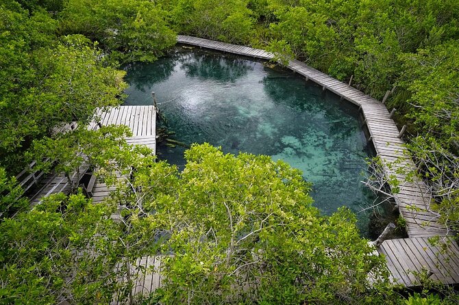 Boat Tour of Three Islands in Holbox with Transportation - Stop 3: Isla Pájaros and wildlife viewing, plus when Punta Mosquito takes over