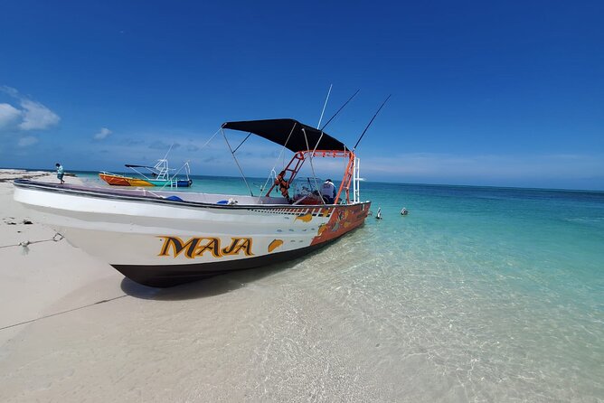 Boat Tour of Three Islands in Holbox with Transportation - Who should book this tour, and who might prefer something else