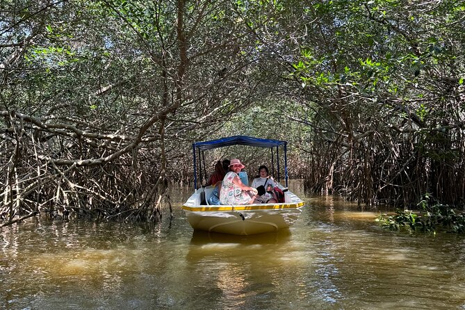 Boat tour through the mangroves of Celestún and Playa from Merida - Mérida to Celestún: pickup, timing, and getting seats
