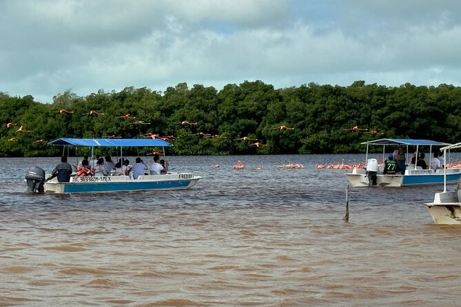 Boat tour through the mangroves of Celestún and Playa from Merida - Transportation and pacing: what the day feels like in real life