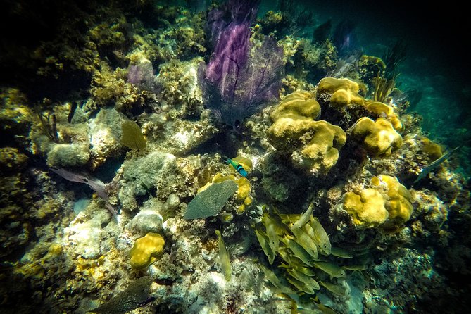 Breathtaking experience driving a speedboat in Cancun with Snorkeling included - Should you book this Cancun speedboat and snorkel tour?